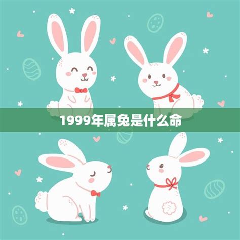 1999属兔|1999年属兔是什么命，99年出生五行属什么